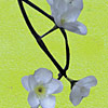 affiche-docprintemps-P